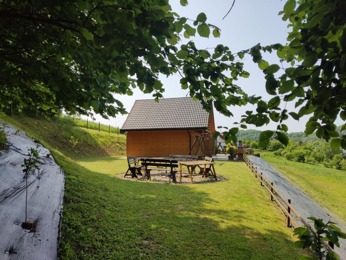 Chaty Na Cholewicy Domki Caloroczne Solina  Dış mekan fotoğraf